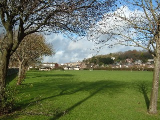 Recreation Ground, large grassed area, trees around the edge