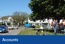 Accounts button, Braunton village green, grassed area by a road with man stood under tree